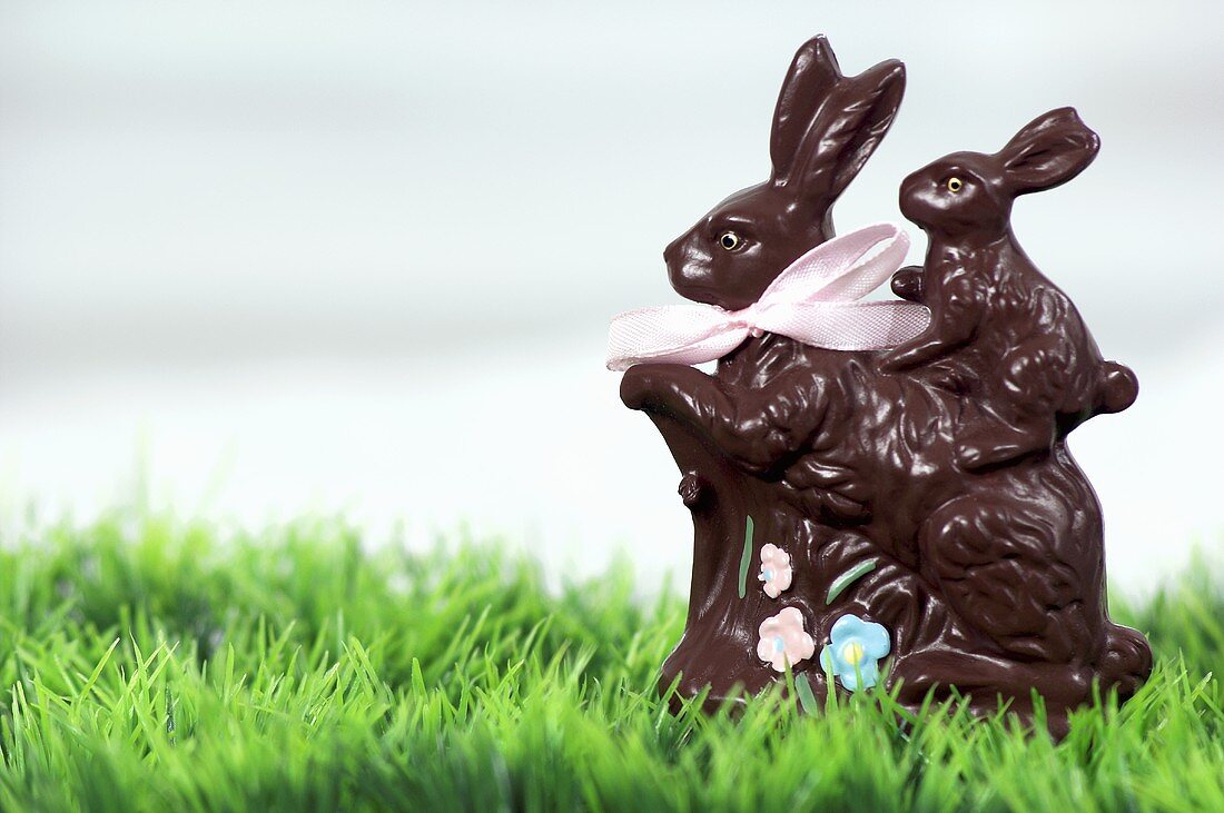 Two chocolate Easter Bunnies in green grass