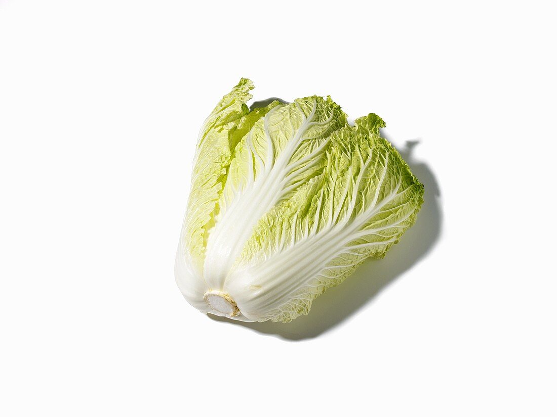 Chinese cabbage