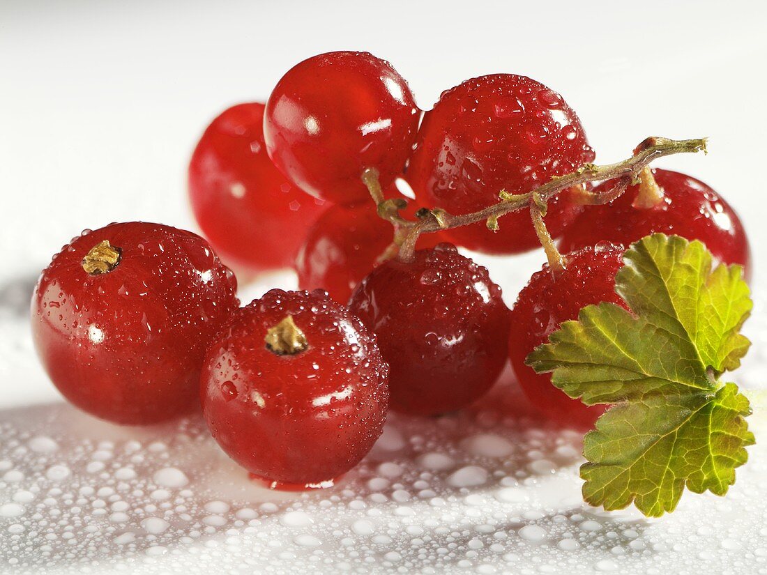 Frische Johannisbeeren mit Wassertropfen