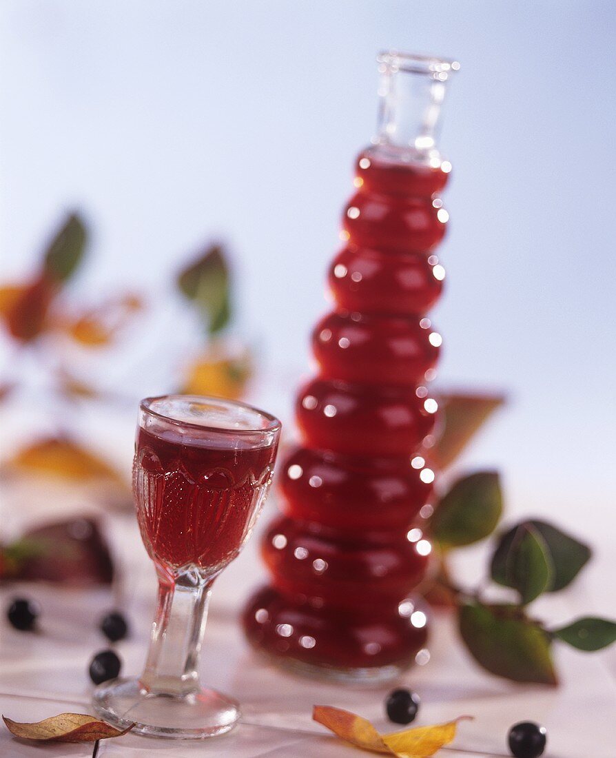 Chokeberry liqueur in bottle and glass