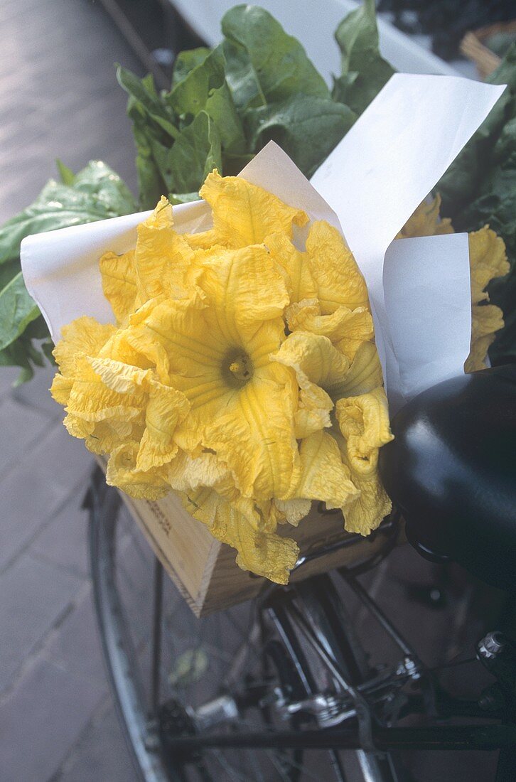 Zucchiniblüten in einer Holzkiste auf dem Fahrrad