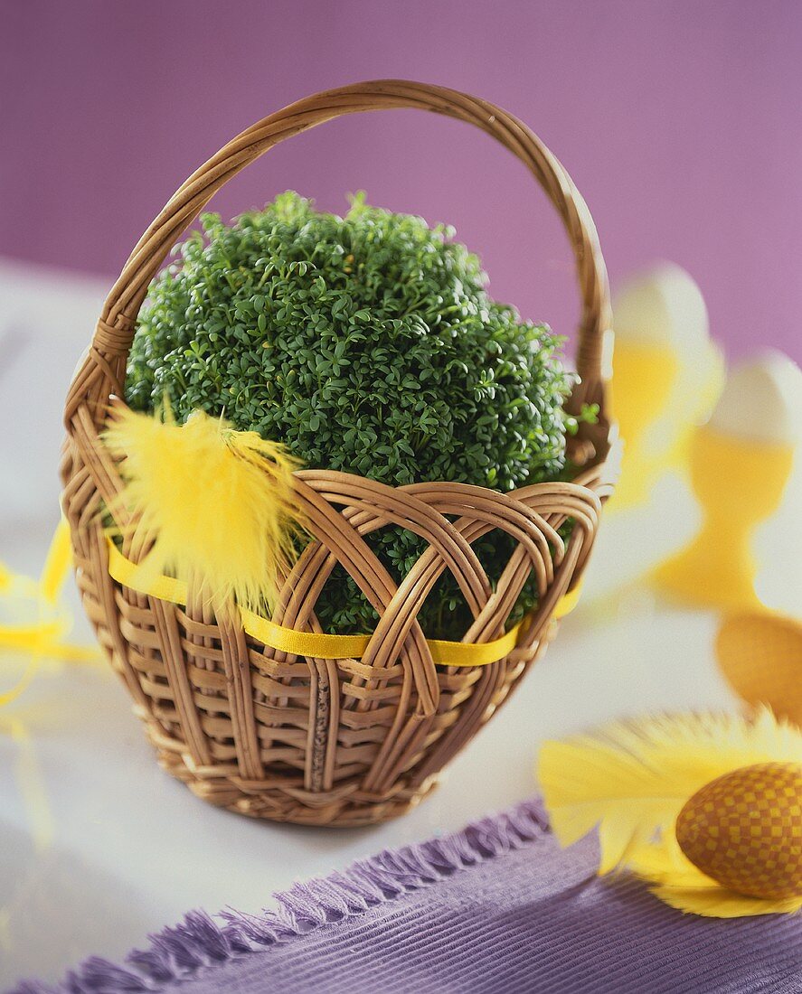 Garden cress in a small basket