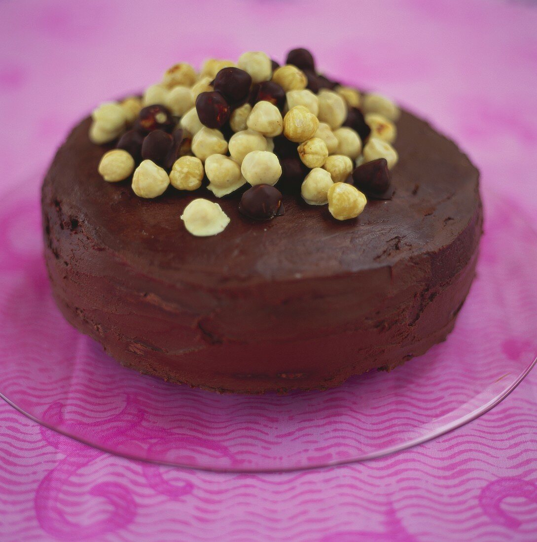 Hazelnut cake with chocolate cream icing