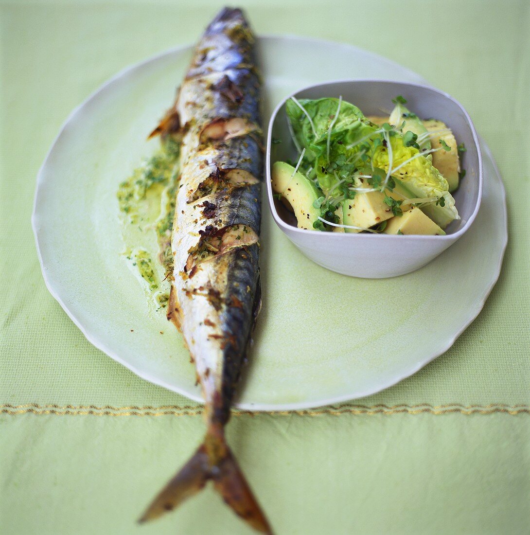 Grilled mackerel with avocado salad