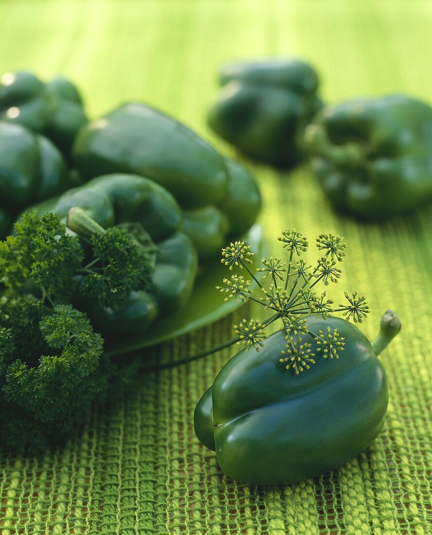 Green peppers with parsley and dill