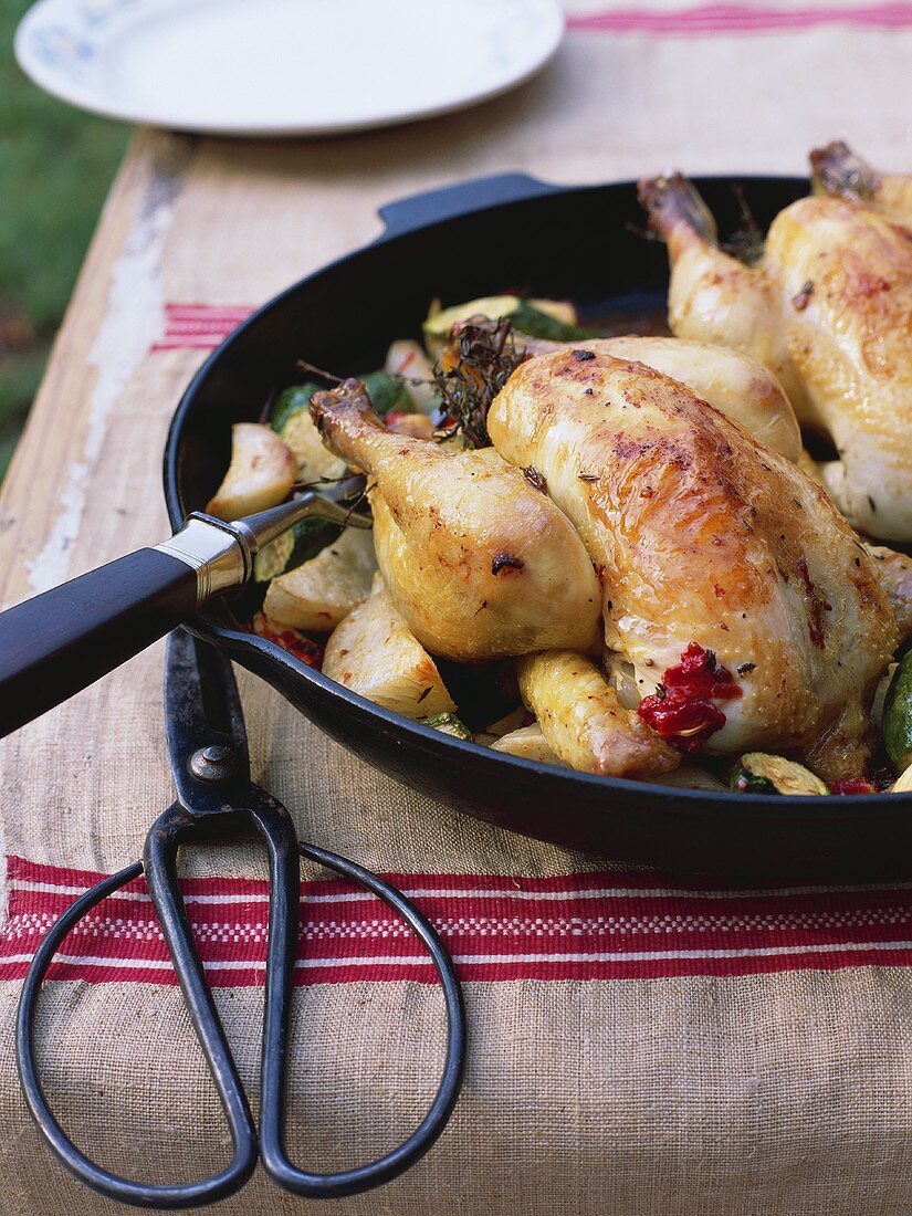 Pintade aux légumes (Guinea fowl with vegetables, France)