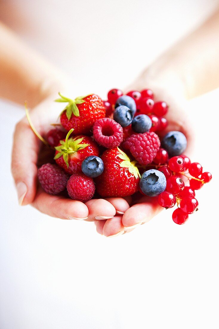 Hands holding mixed berries