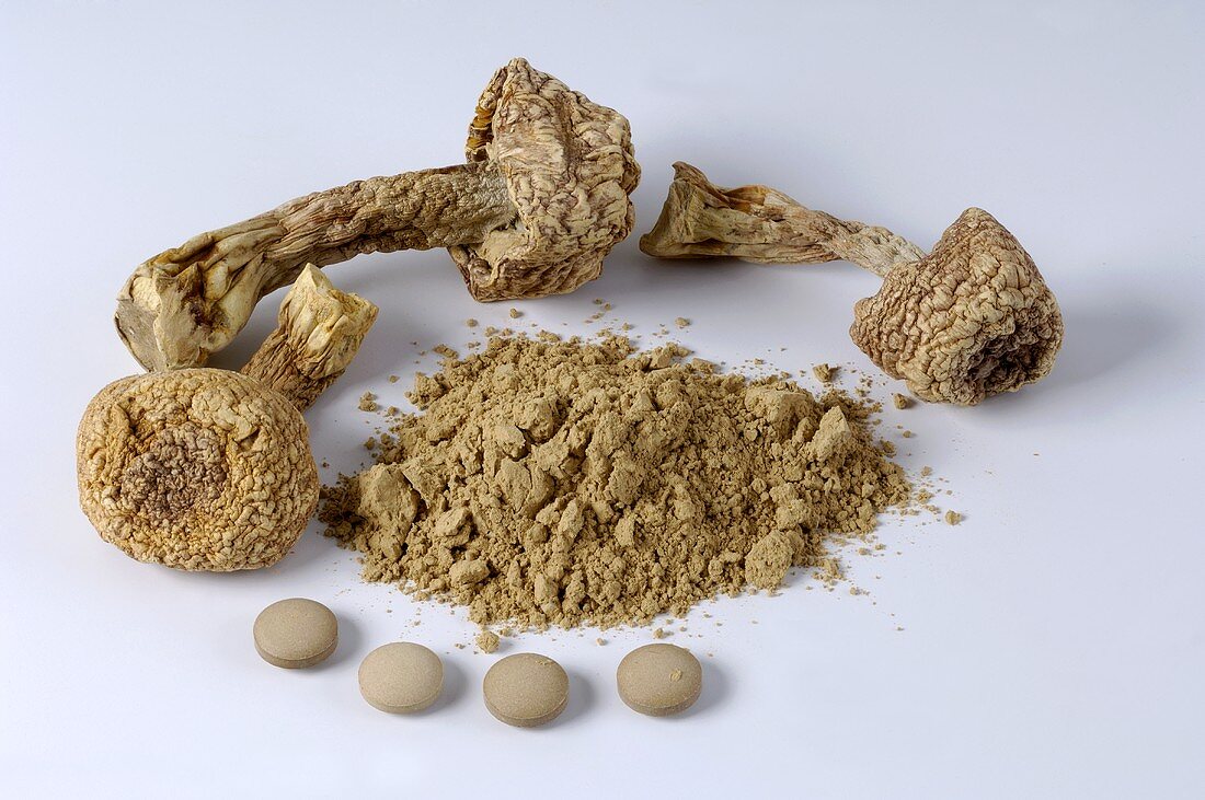 Dried almond mushrooms, powder and tablets