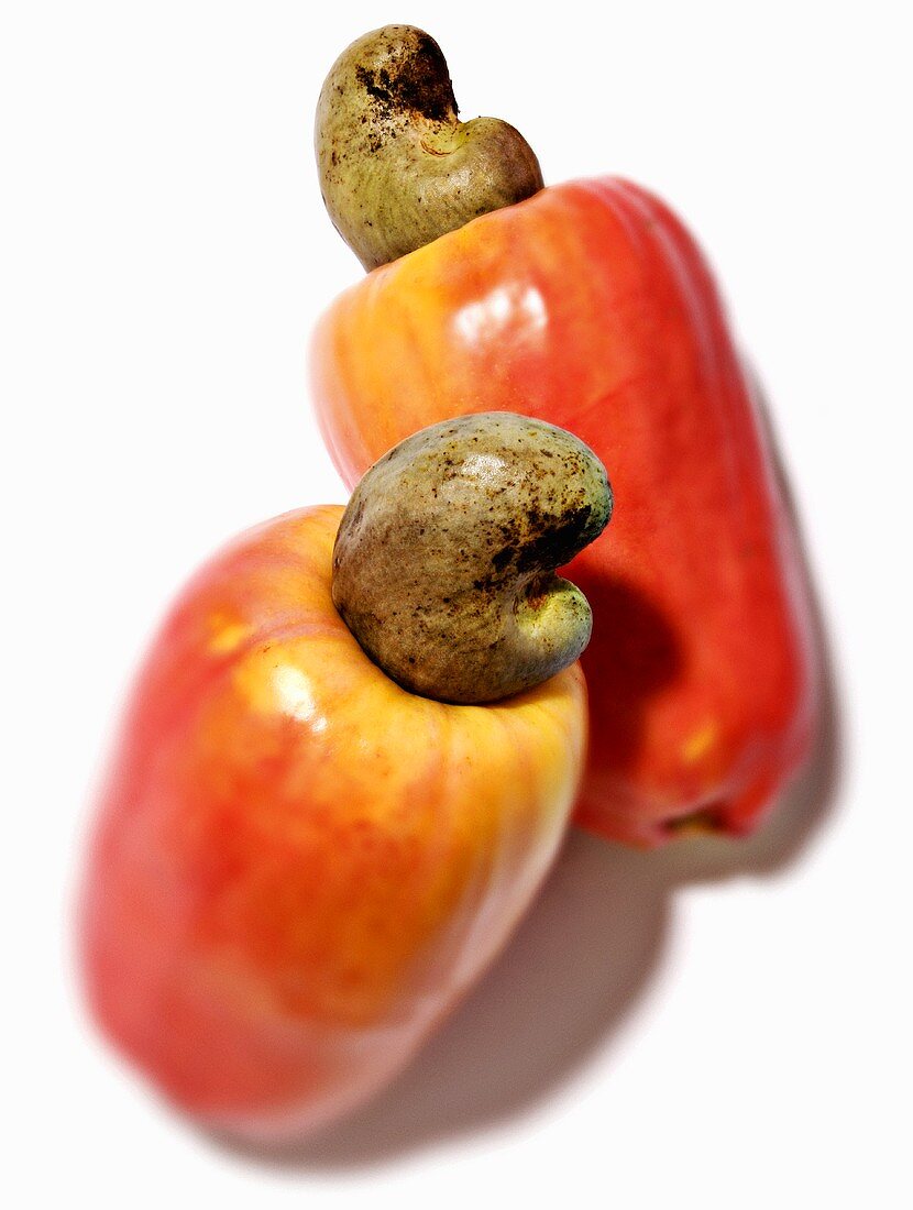Two cashew apples