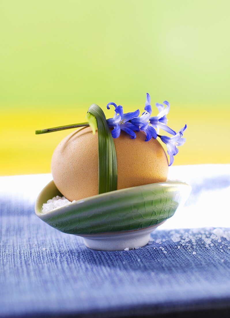 Boiled egg in eggcup with salt and flower