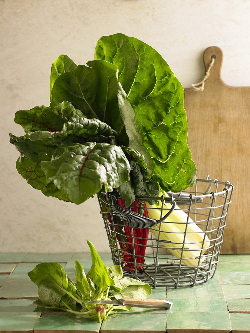 Fresh chard in a wire basket