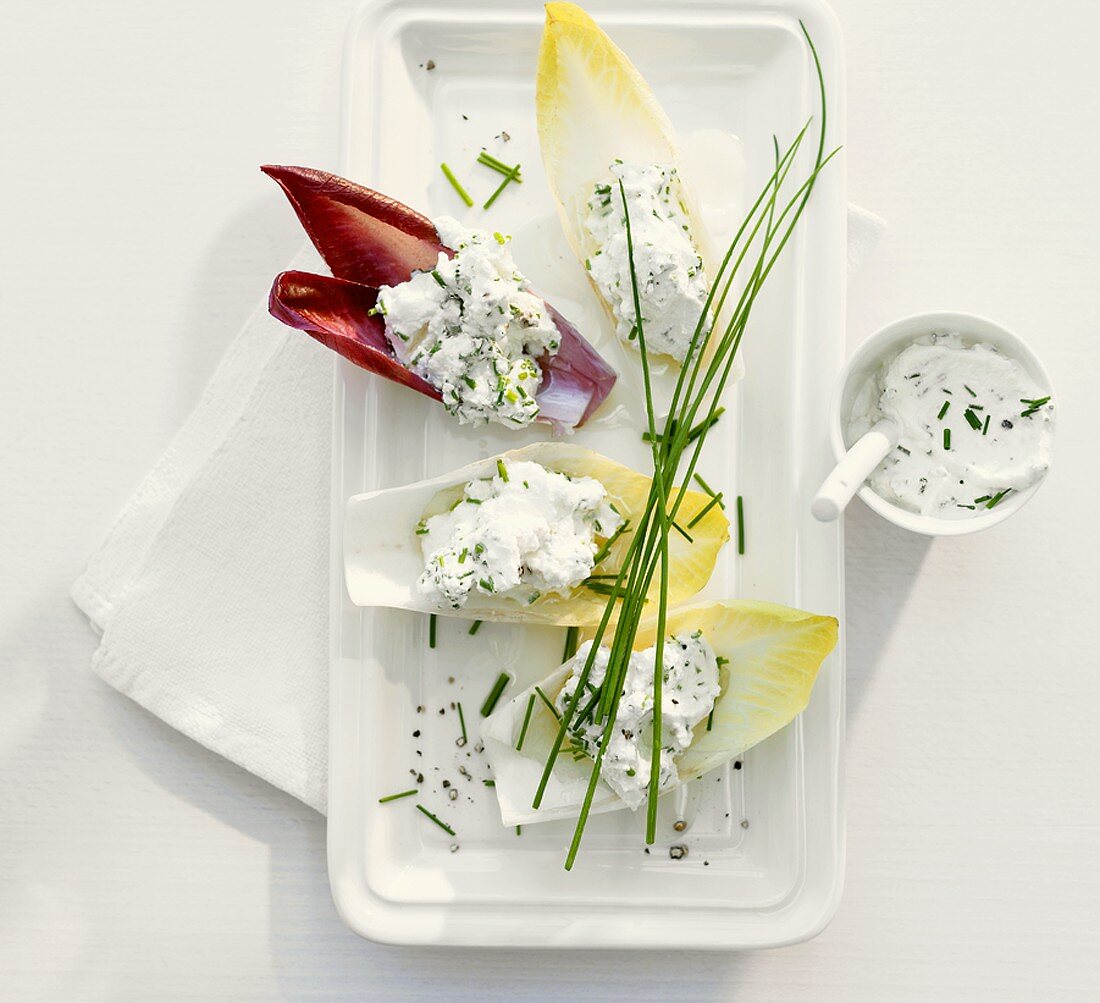 Ricotta with chives in chicory leaves