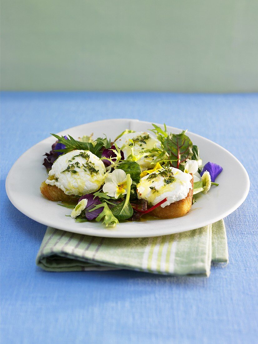 Herb salad with toasted ciabatta and goat's cheese