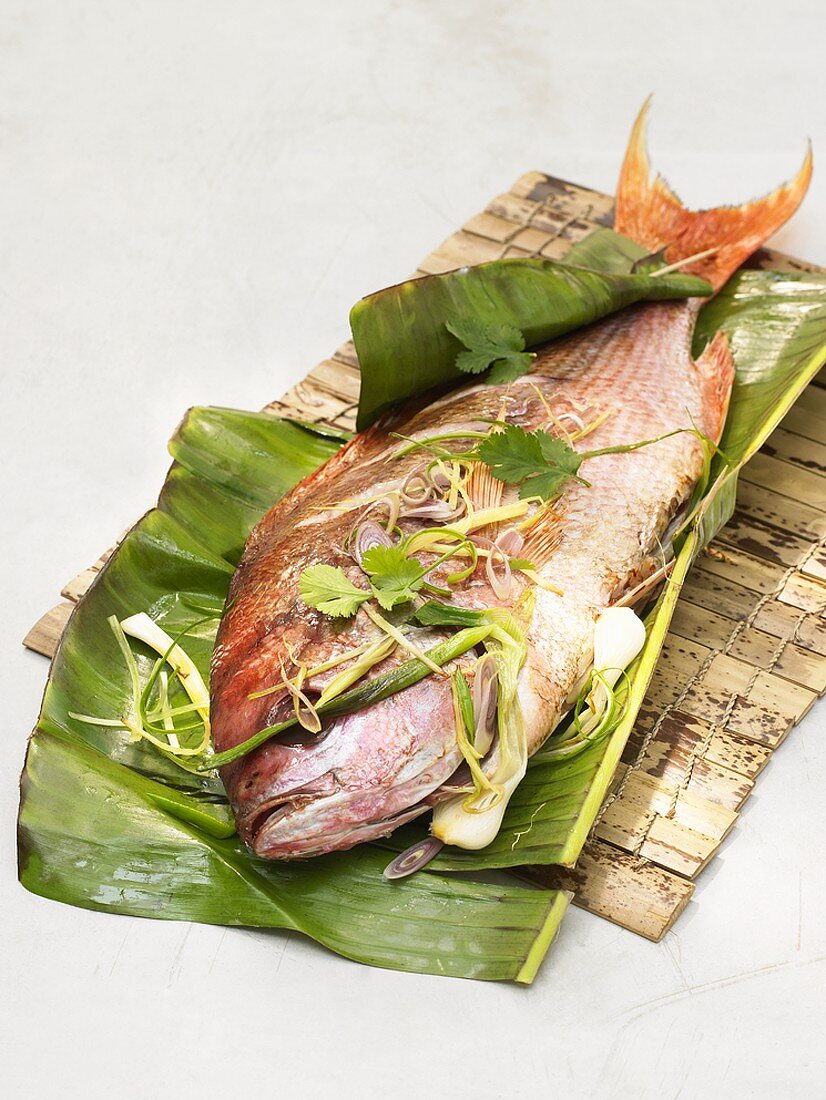 Red snapper with chervil and spring onions on banana leaf