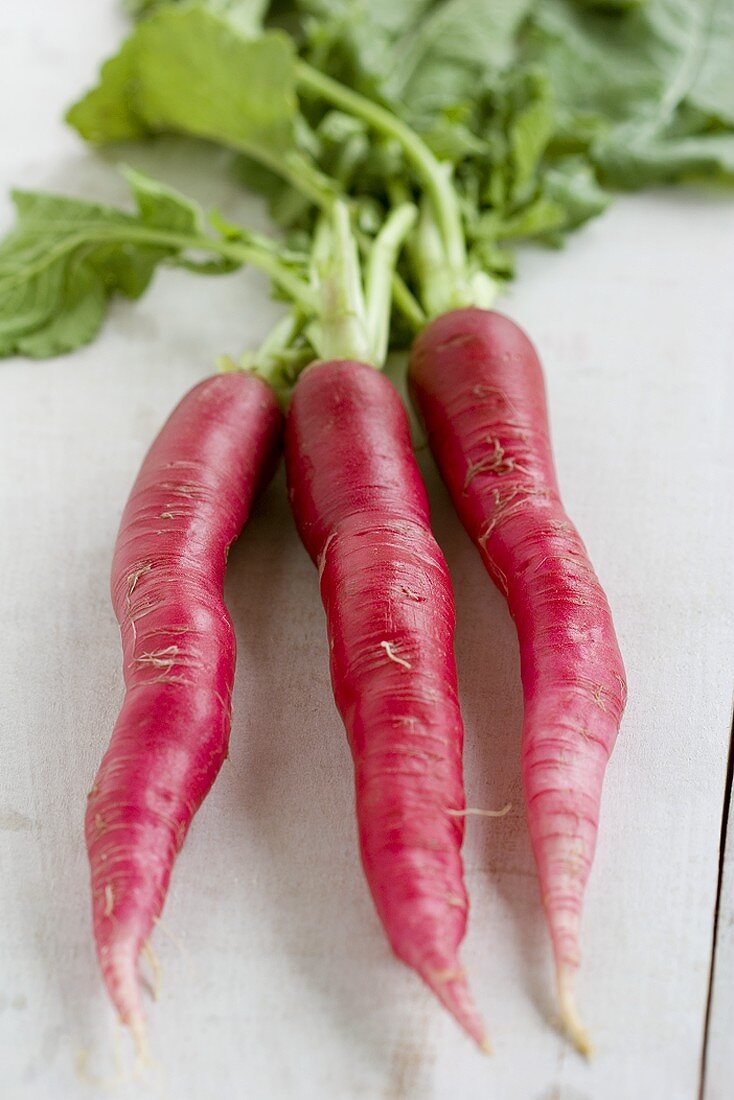 Three long red radishes