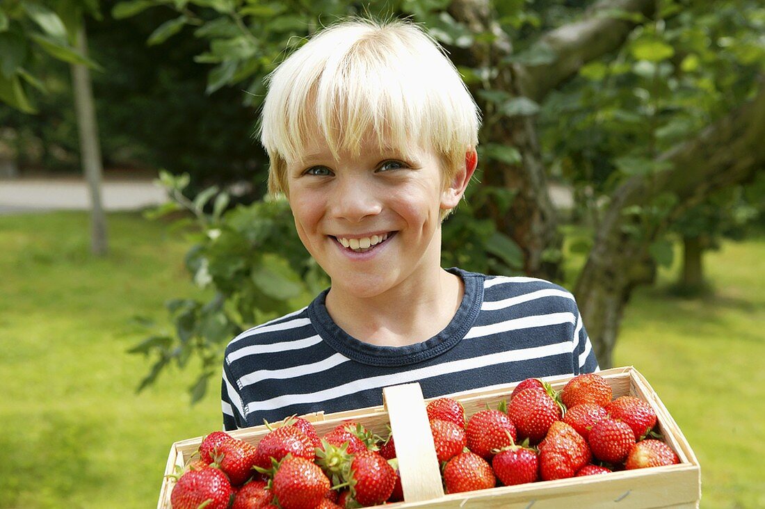 Blonder Junge mit Erdbeerkiste im Garten