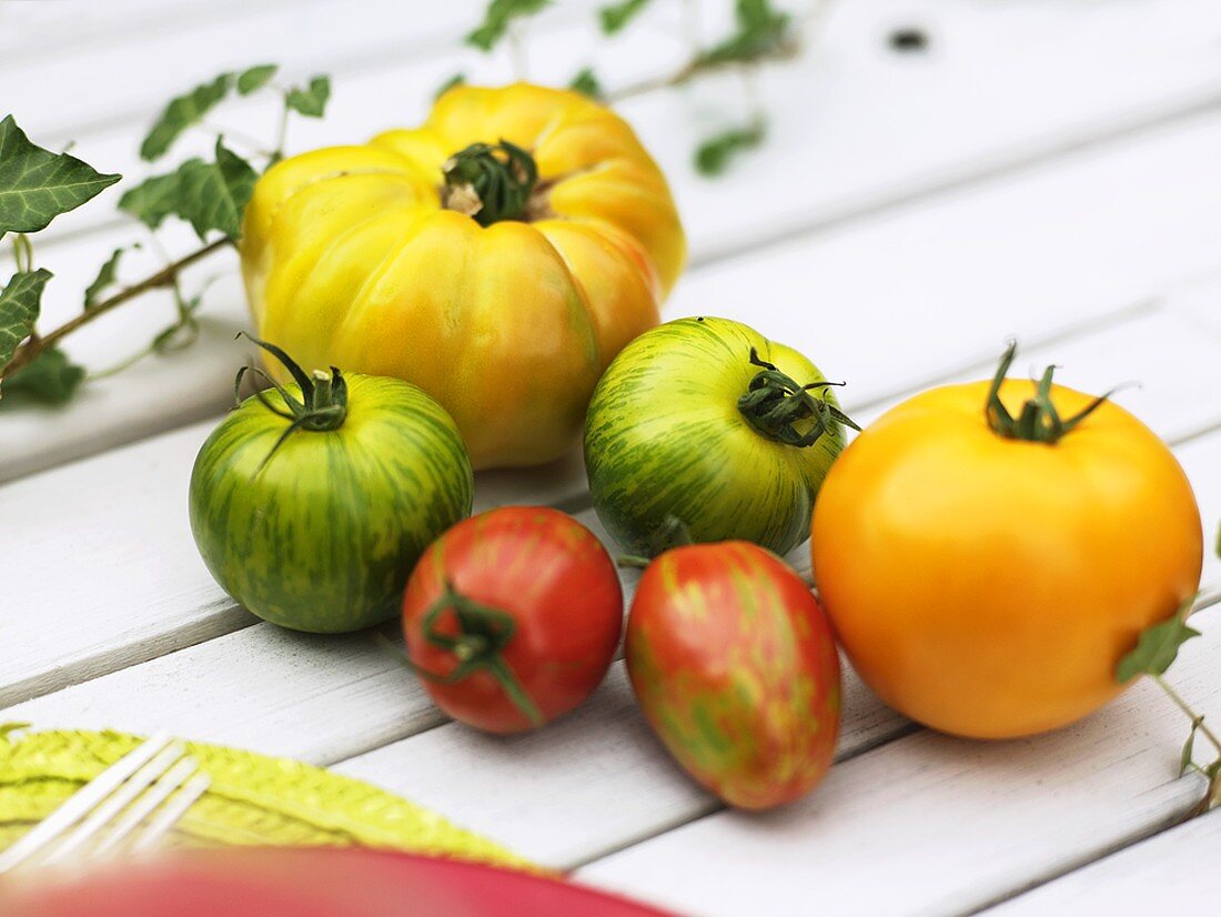 Various types of tomatoes