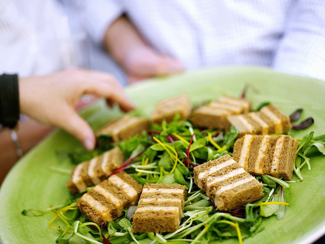 Taleggio-Schnitten auf Blattsalat