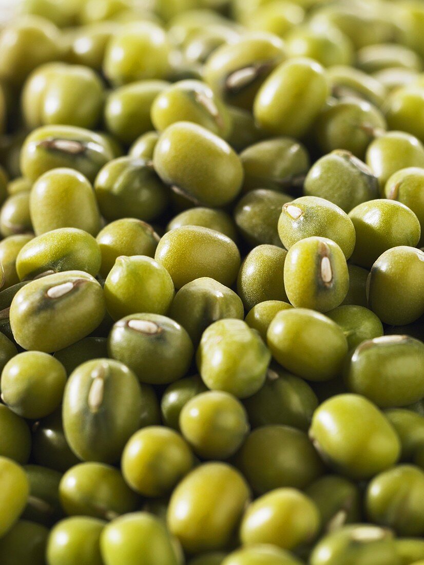 Mung beans