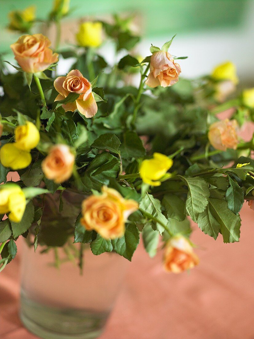 Roses in a glass vase