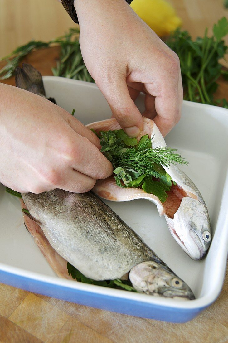 Stuffing trout with herbs