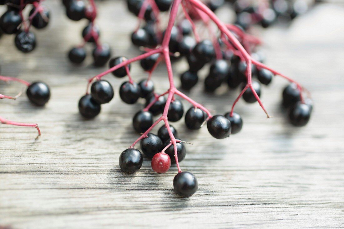 Holunderbeeren auf Holzuntergrund