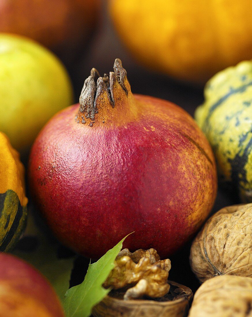 Ein Granatapfel zwischen Zierkürbissen und Walnüssen