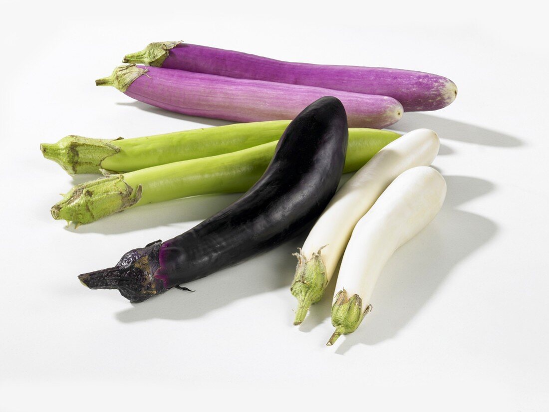 Various types of aubergines