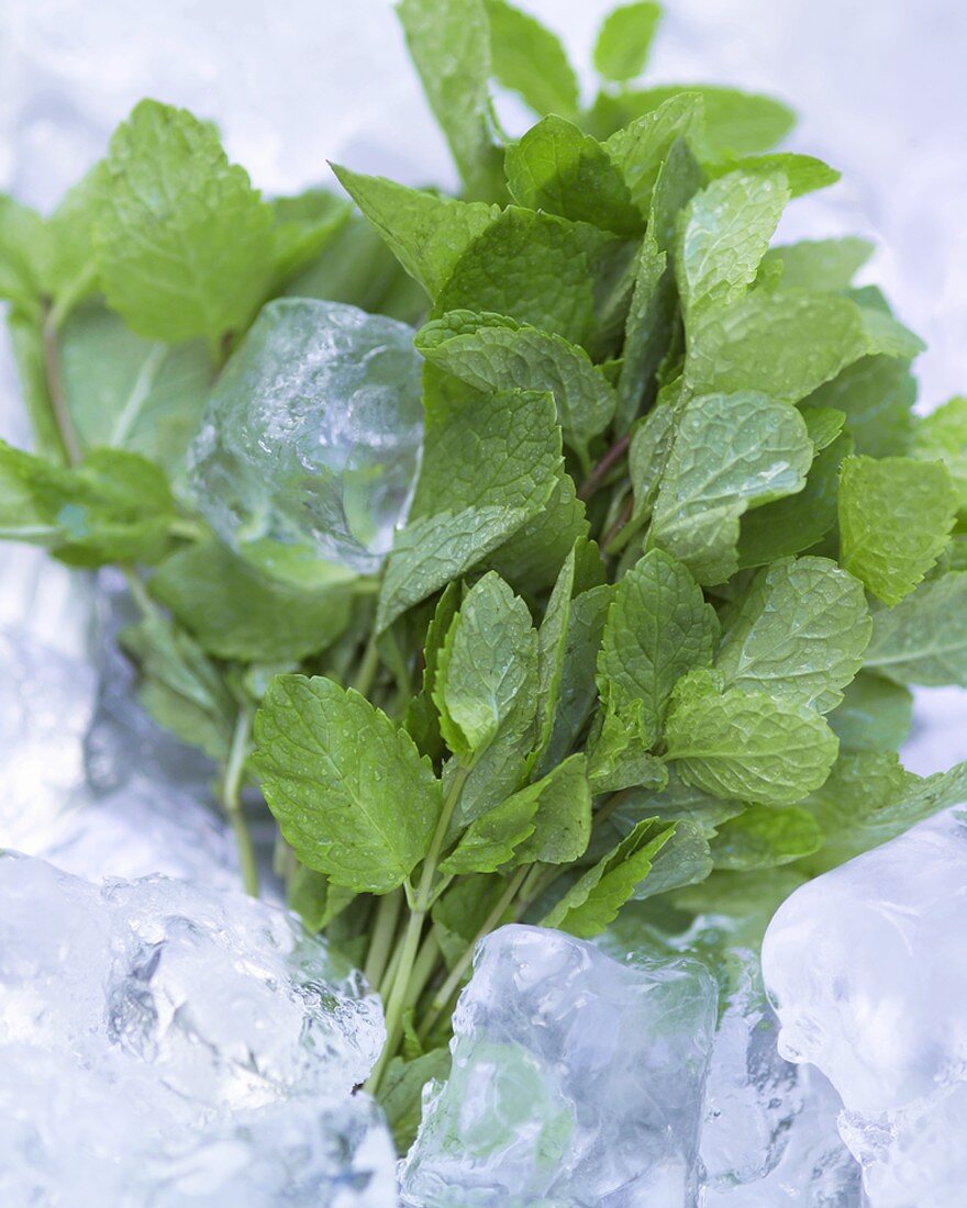 Fresh mint on ice