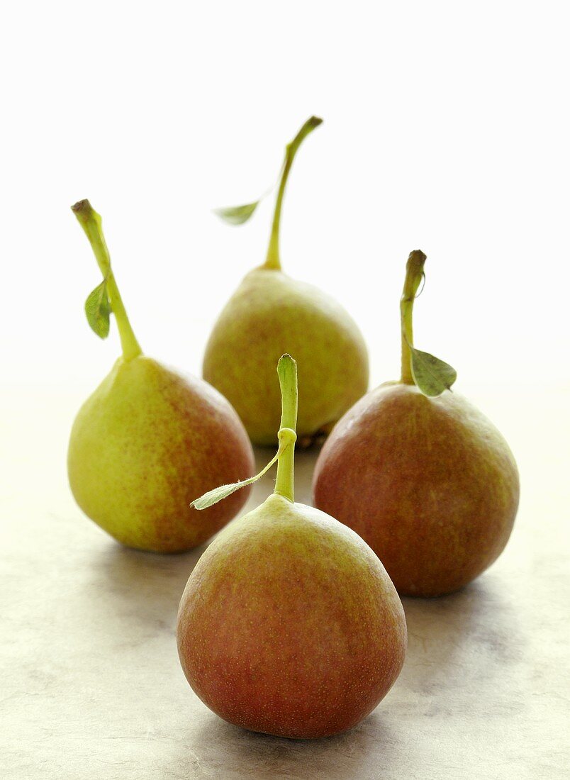 Wild pears