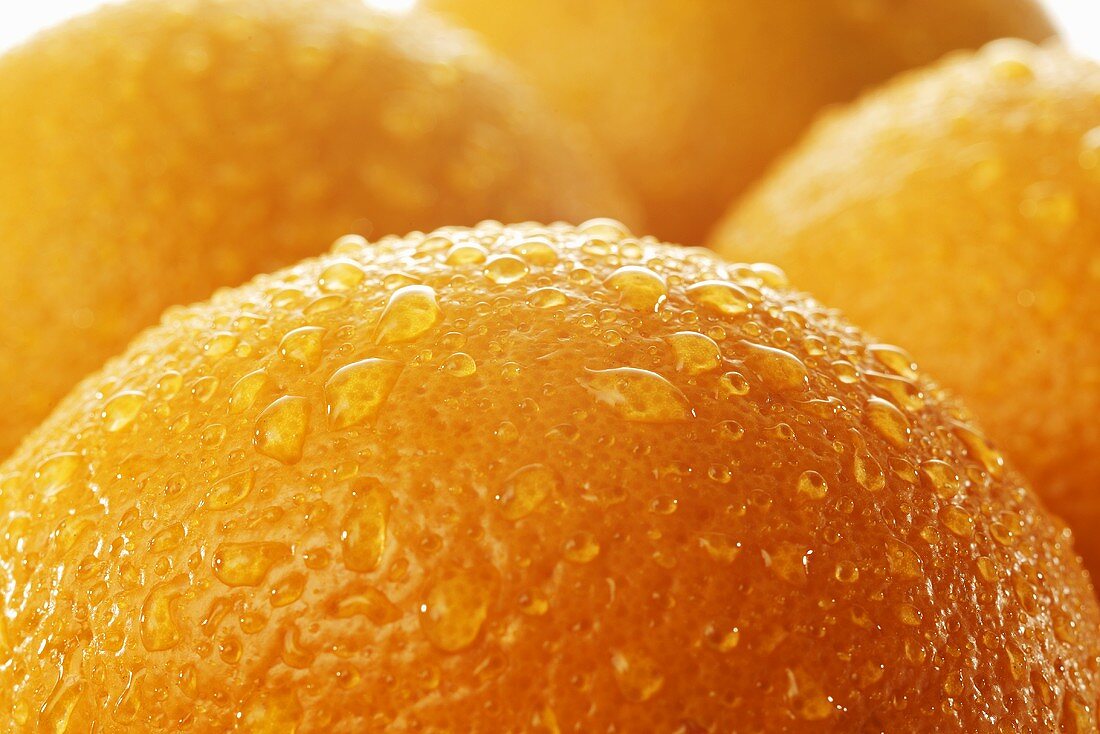 Orangen mit Wassertropfen (Close Up)