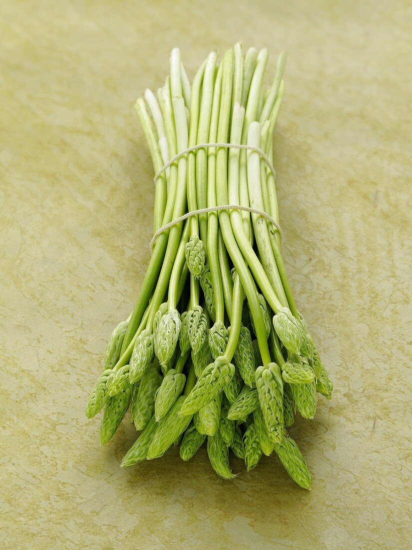 A bundle of wild asparagus