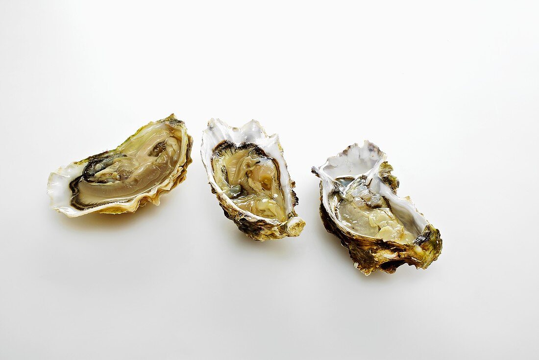Three 'fin de claire' oysters