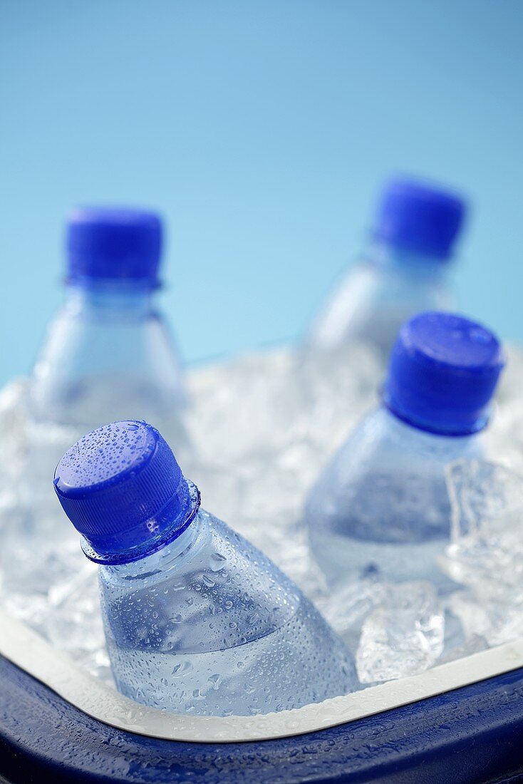 Wasserflaschen in Kühlbox