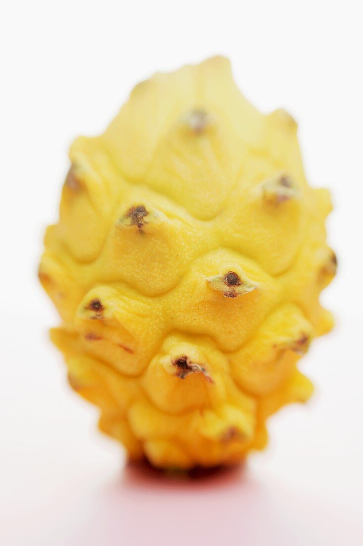 A yellow pitahaya