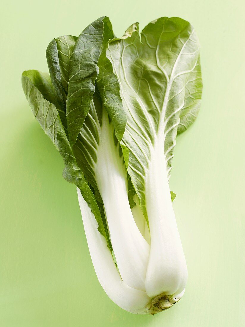 Pak Choi