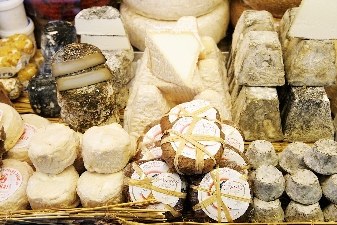 Cheese on a cheese counter