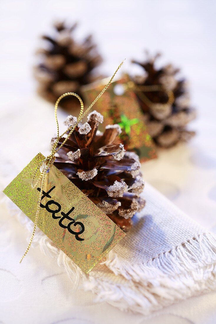 Pine cones with name labels