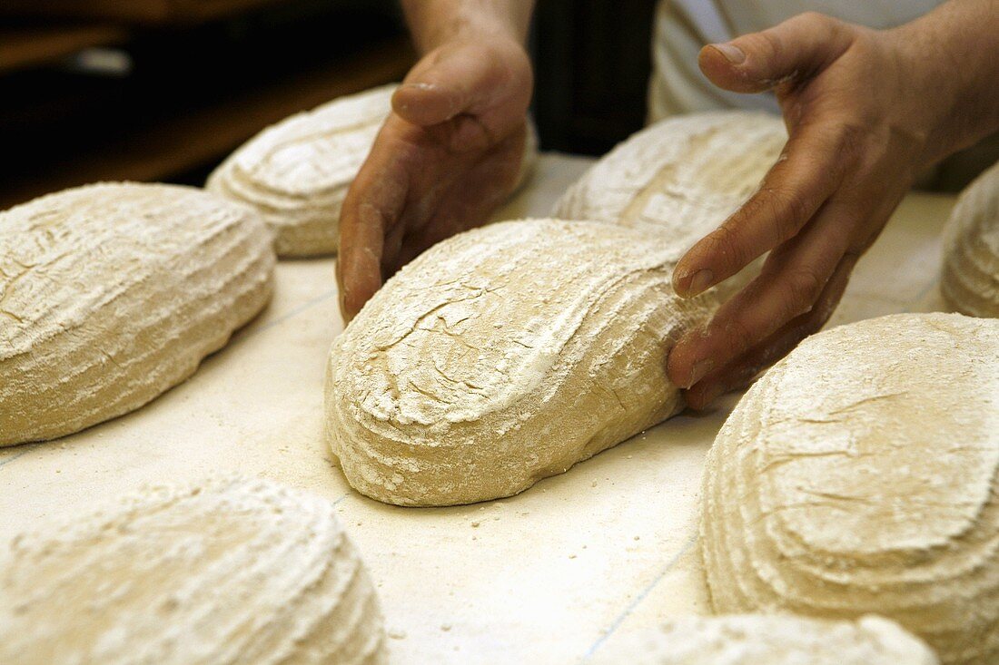 Shaping loaves of bread