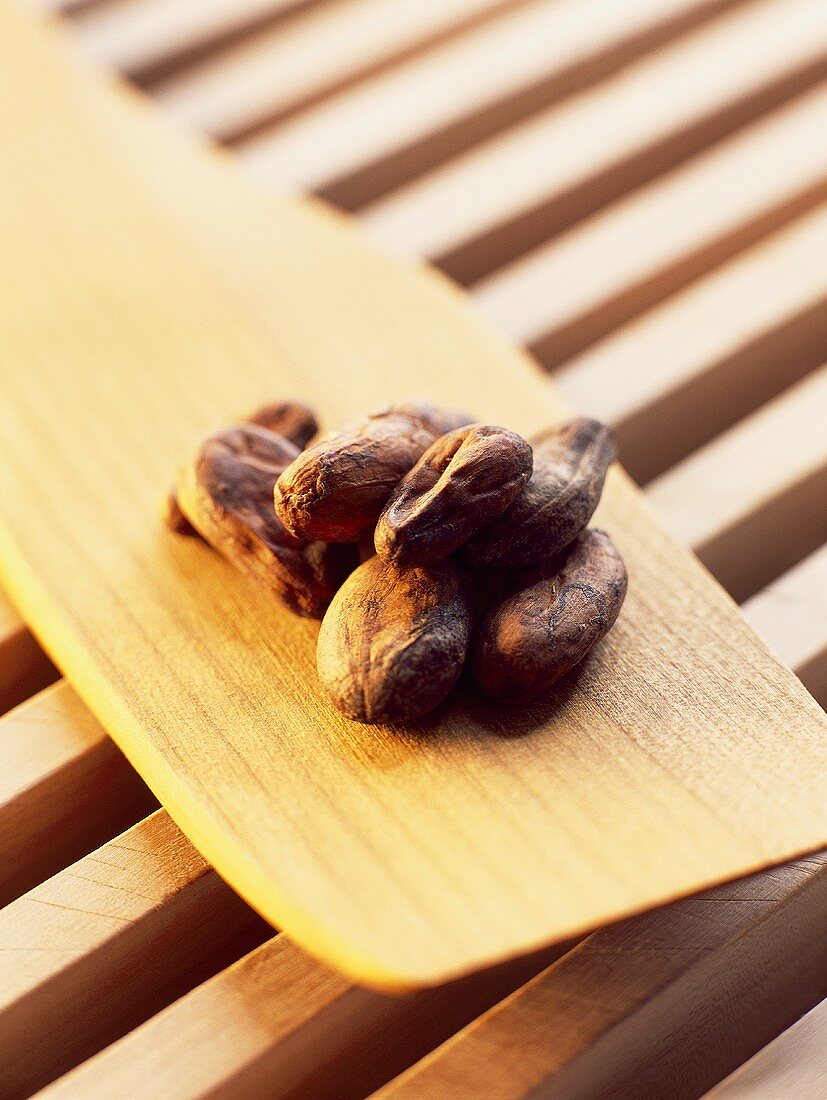 Cocoa beans on a wooden spoon