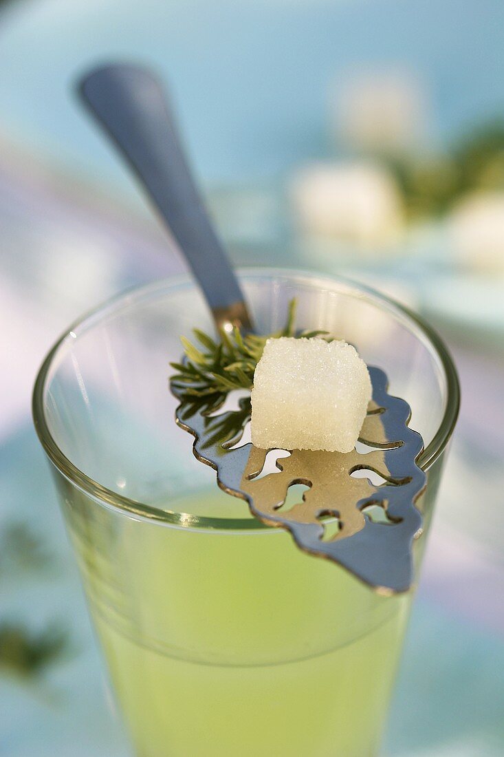 Absinthe with sugar cube on a silver spoon