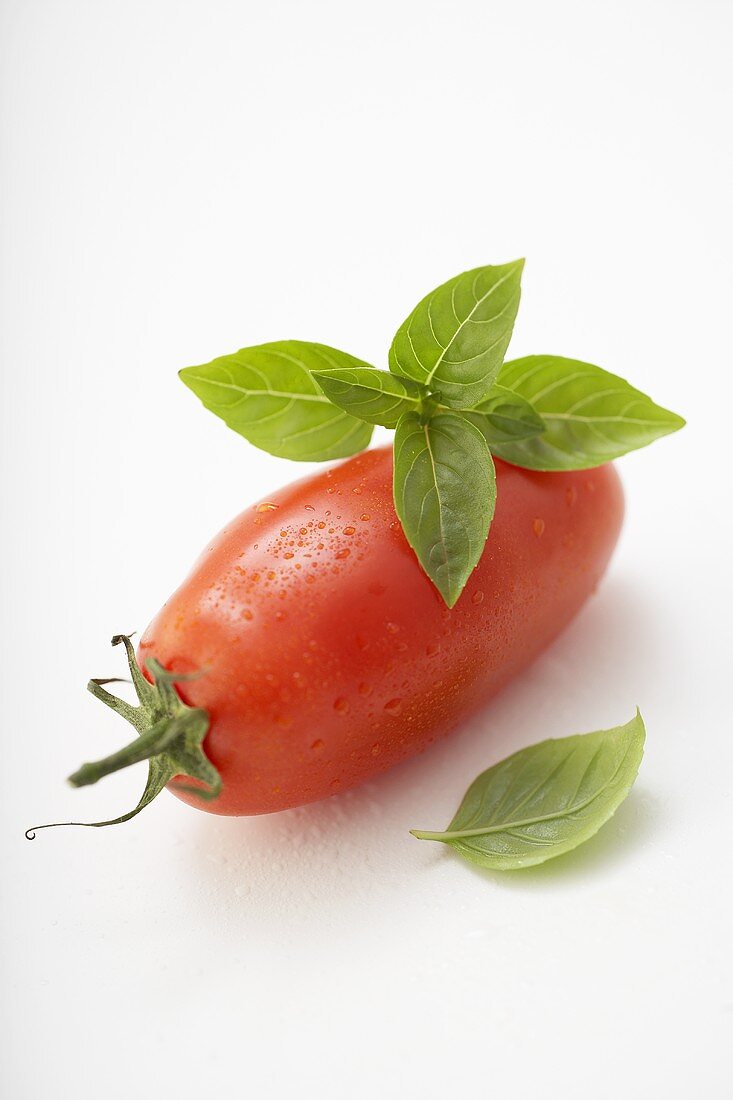 Eine Pelati-Tomate mit Basilikum