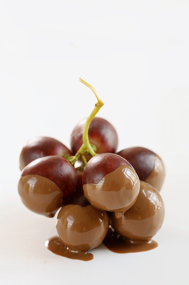 Chocolate-dipped grapes
