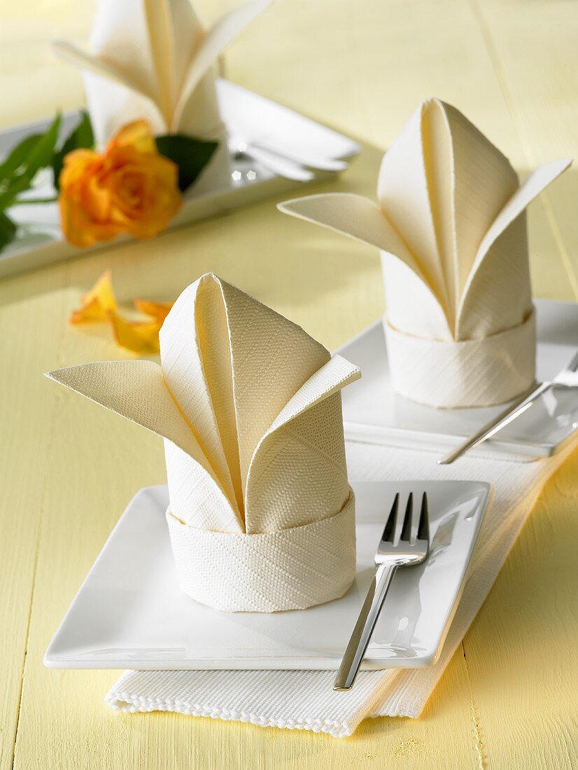 Napkin folding design: 'Lily'