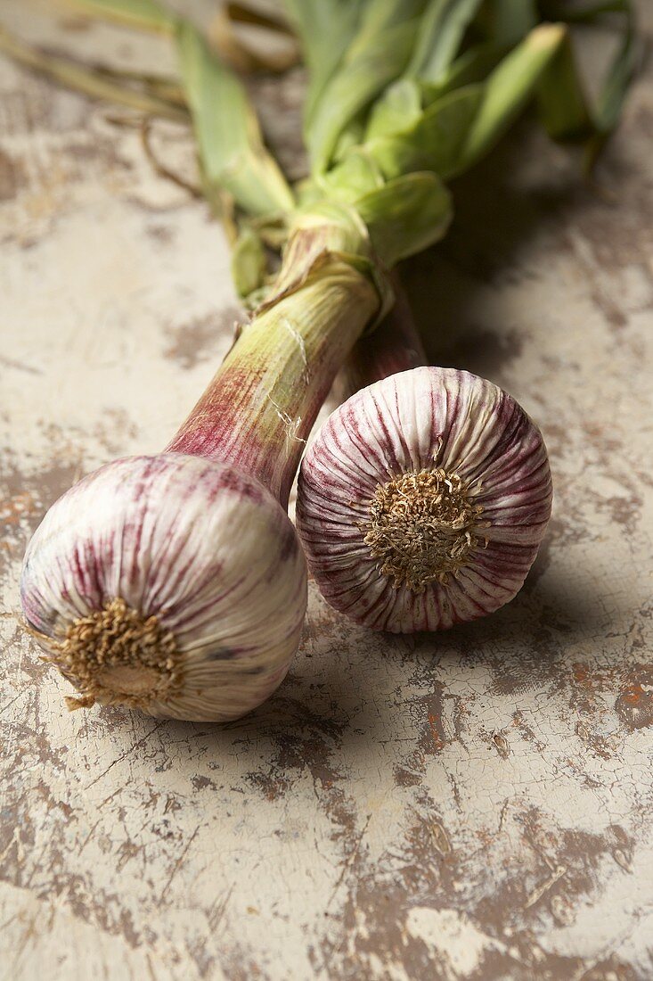 Frischer Knoblauch mit Stiel