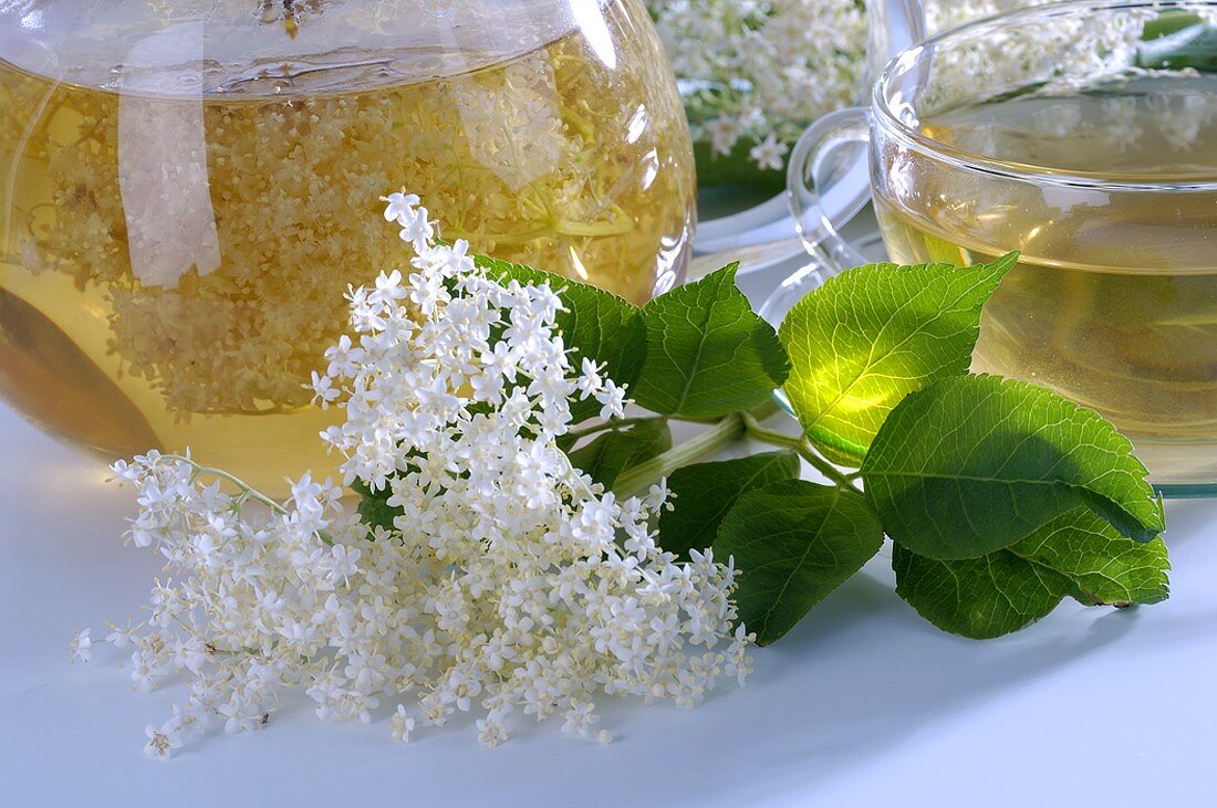 Elderflower tea with fresh flowers
