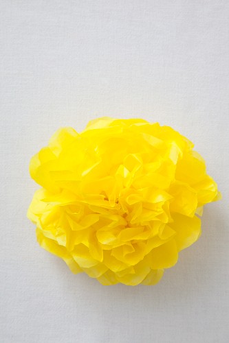 Yellow paper pompom