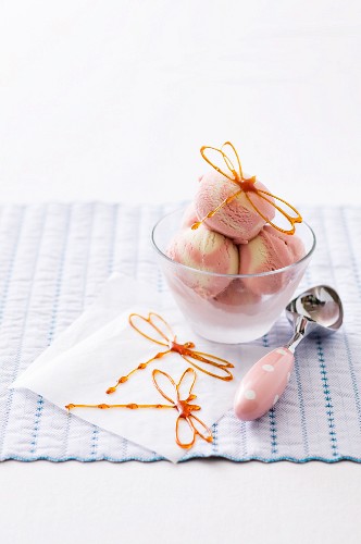 Strawberry and vanilla ice cream with caramel dragonflies