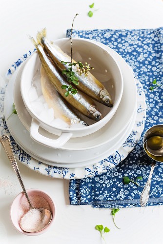 Fresh smelts on ice in a cup