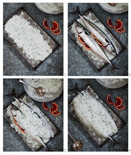 Makrelen im Salzteig zubereiten